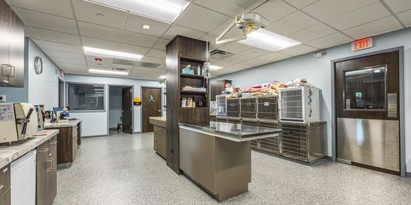 The treatment area with kennels at Countryside Animal Hospital